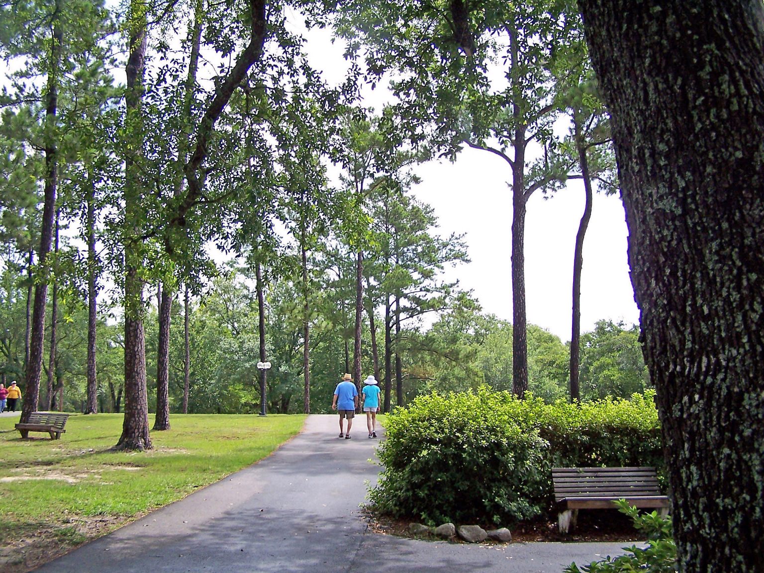 GALLERY Diamondhead Mississippi Property Owner's Association